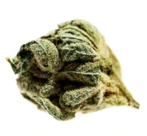 POTLUCK- Pineapple Express 7G